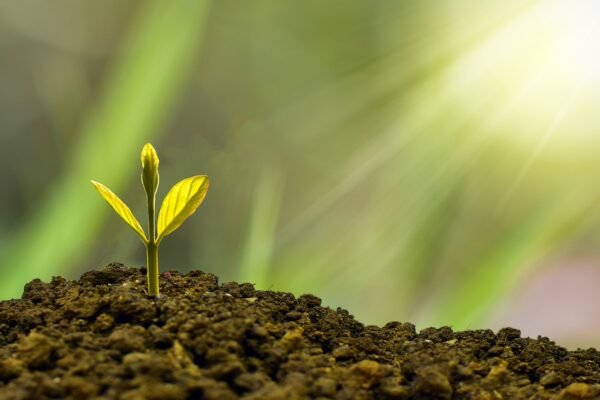 Beyond Busy: Reclaiming Time With Micro-Habits