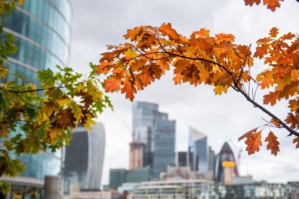 Startup Culture: Ditch The Ping Pong, Build Bridges