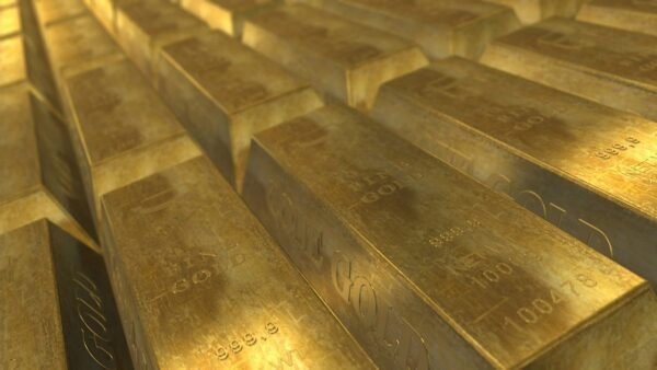 Beyond Blue Chips: The Future Of Impact Stocks